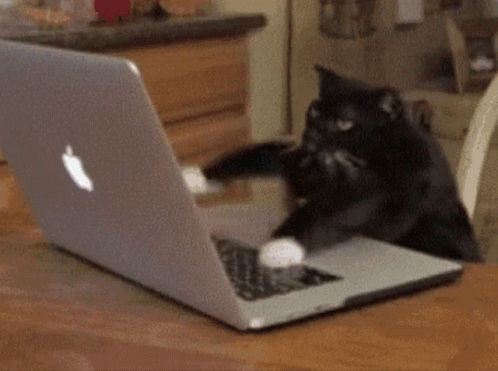 real footage of me coding